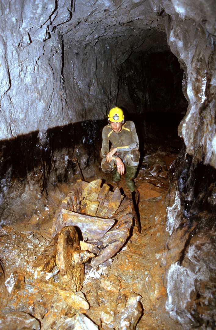 Level Newydd Cards Aug 1986